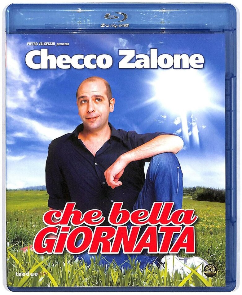 Che bella giornata (2011)