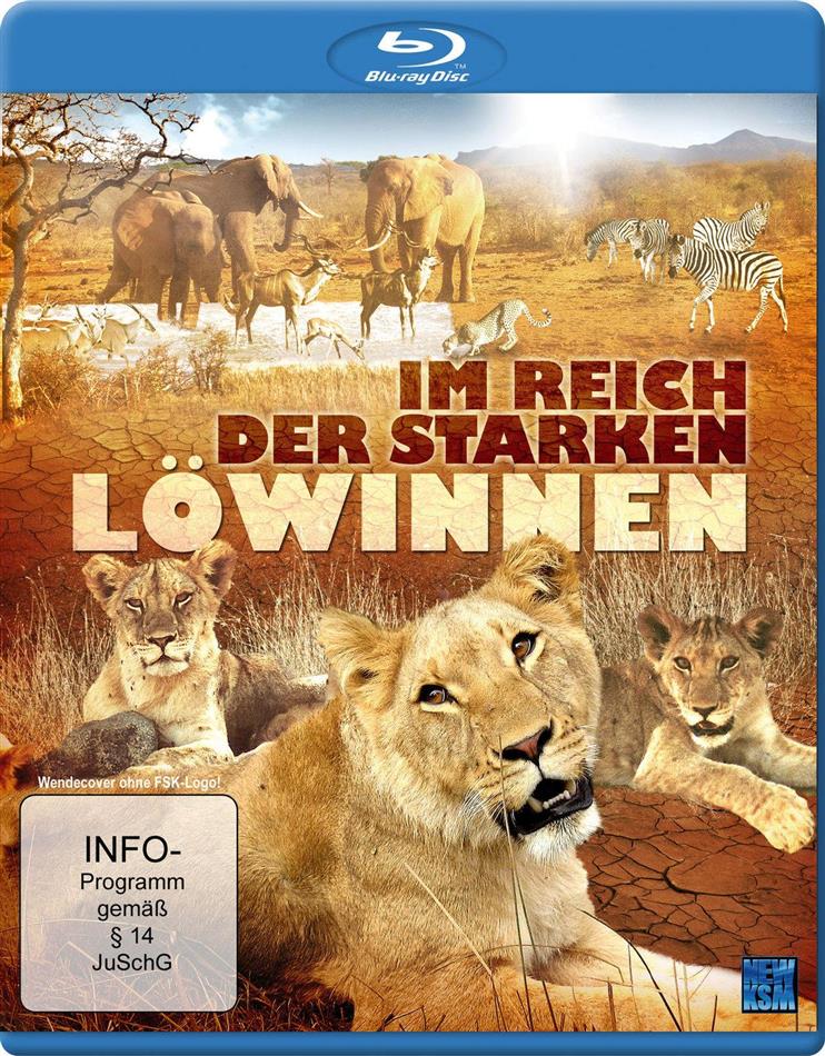 Im Reich der starken Löwinnen