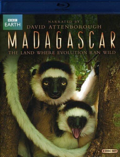 Madagascar (2011)