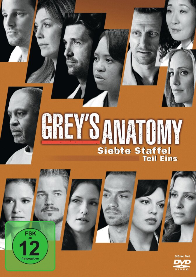 Grey's Anatomy - Staffel 7.1 3 DVDs