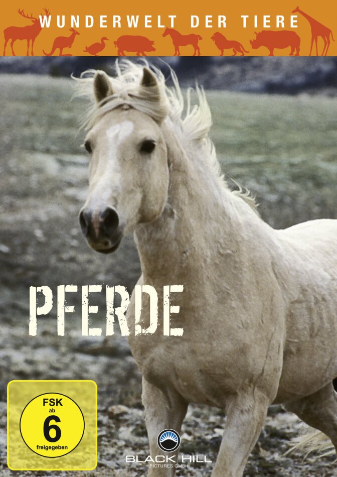Pferde - Wunderwelt der Tiere