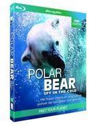 L'ours polaire - BBC Earth