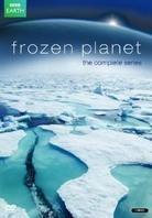 Frozen Planet 3 DVDs