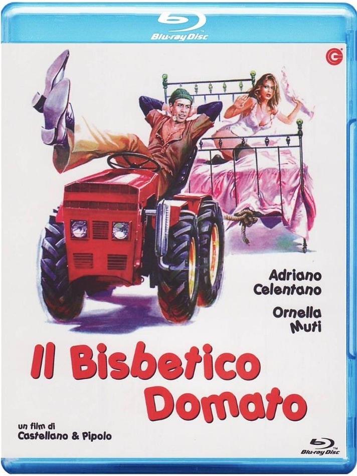 Il bisbetico domato (1980)