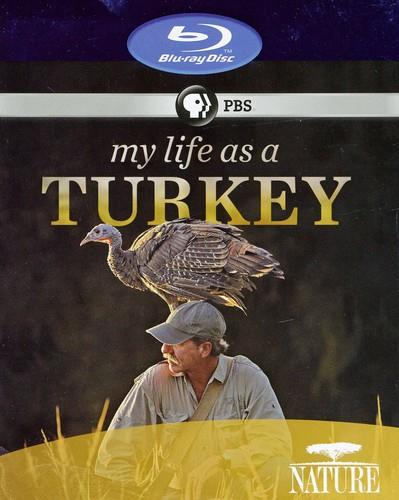Nature - My Life as a Turkey