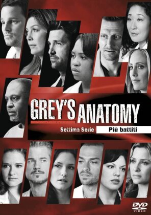 Grey's Anatomy - Stagione 7 (6 DVD)