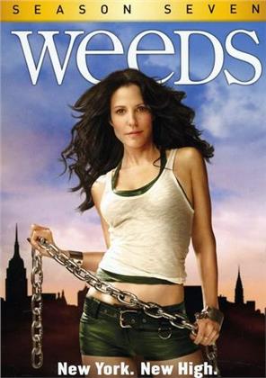 Weeds - Season 7 (3 DVDs)