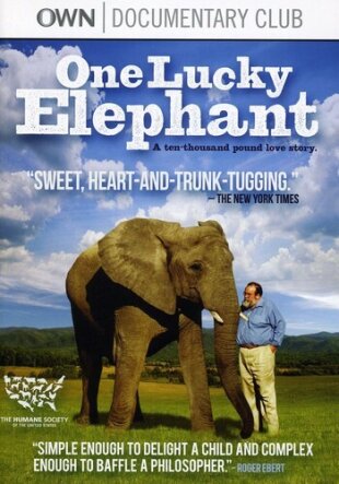 One Lucky Elephant
