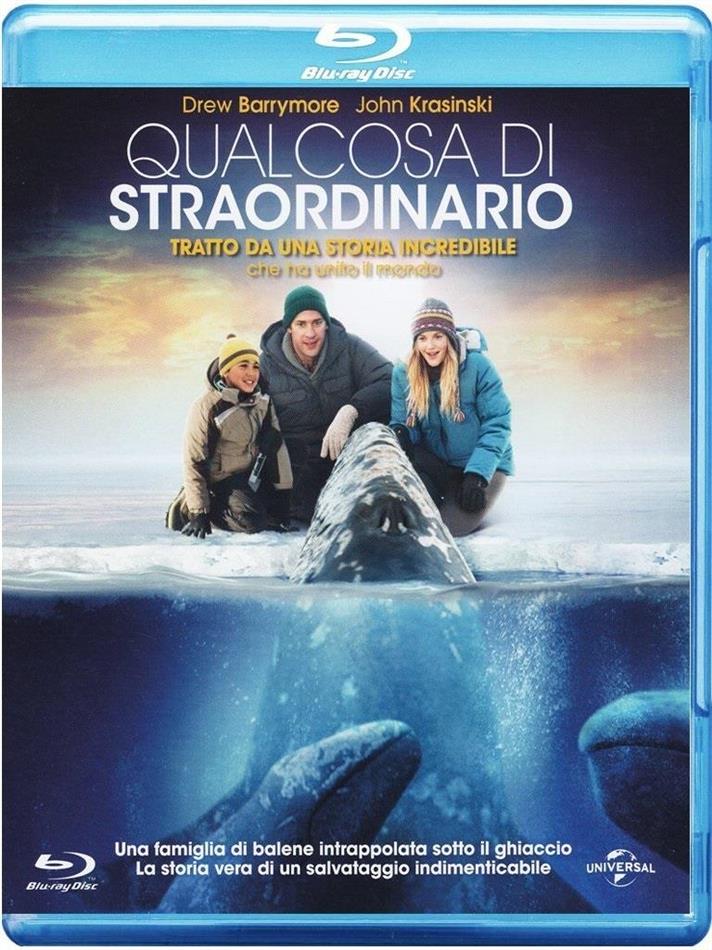 Qualcosa di straordinario (2012)