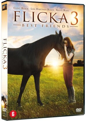 Flicka 3 (2012)