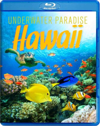Hawaii - Underwater Paradise