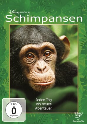 Schimpansen (2012)