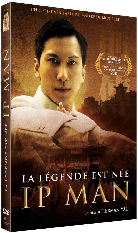 Ip Man - La légende est née (2010)
