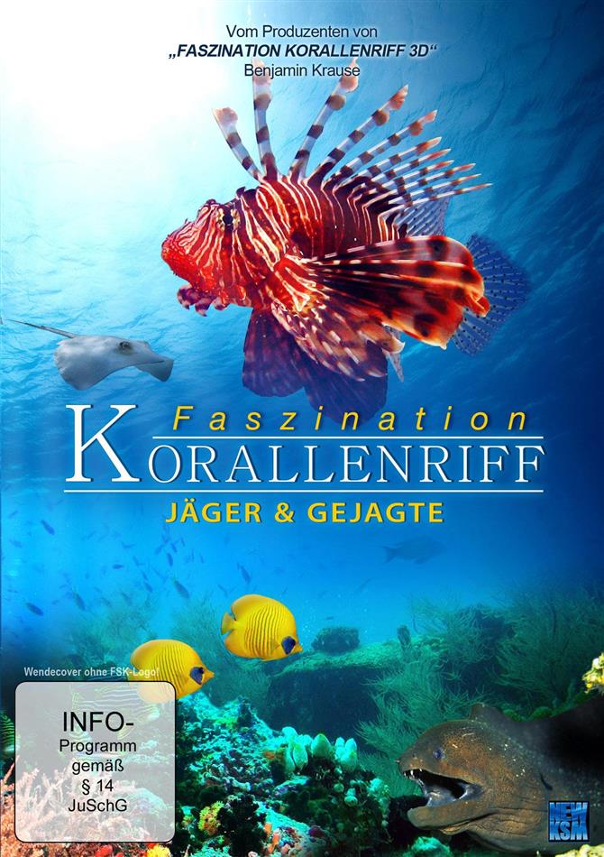 Faszination Korallenriff - Jäger und Gejagte