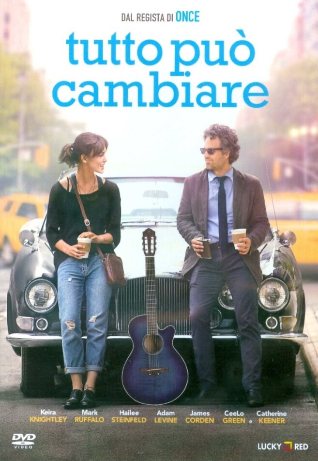 Tutto può cambiare (2013)