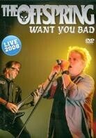 Offspring - Want you bad - Live 2008 Inofficial