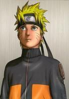 Naruto Shippuden - Coffrets Vol. 1 à 4 12 DVD