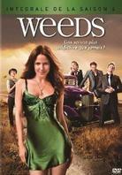Weeds - Saison 6 (3 DVD)