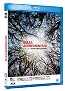 Bella Addormentata (2012)