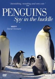 Penguins - Spy in the Huddle