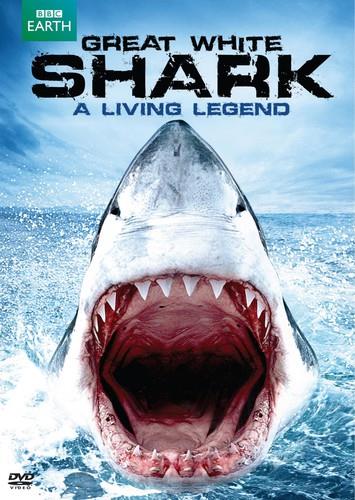 Great White Shark - A Living Legend