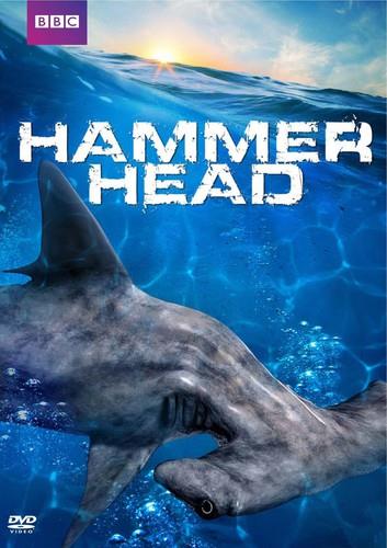 Hammer Head