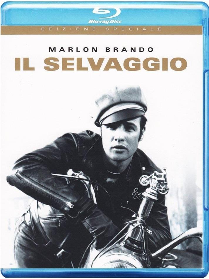 Il selvaggio (1953) b/w