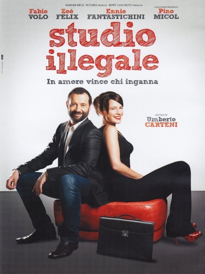 Studio illegale (2013)