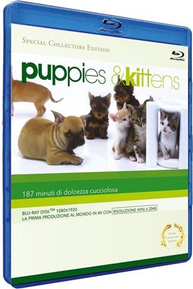 Puppies & Kittens (Collector's Edition, Edizione Speciale)