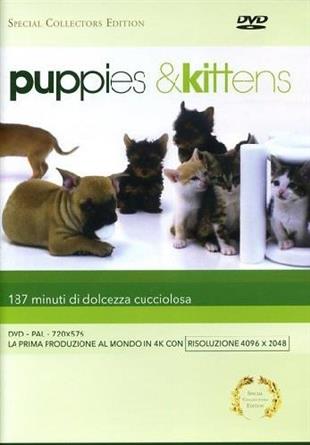 Puppies & Kittens Special Collector's Edition