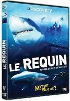 Le requin, mangeur d'hommes - mythe ou realite ?