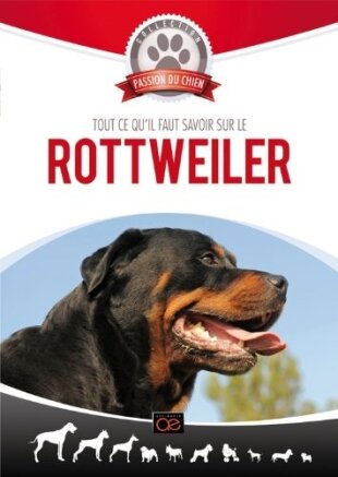 Tout ce qu'il faut savoir sur le Rottweiler Collection passion du chien