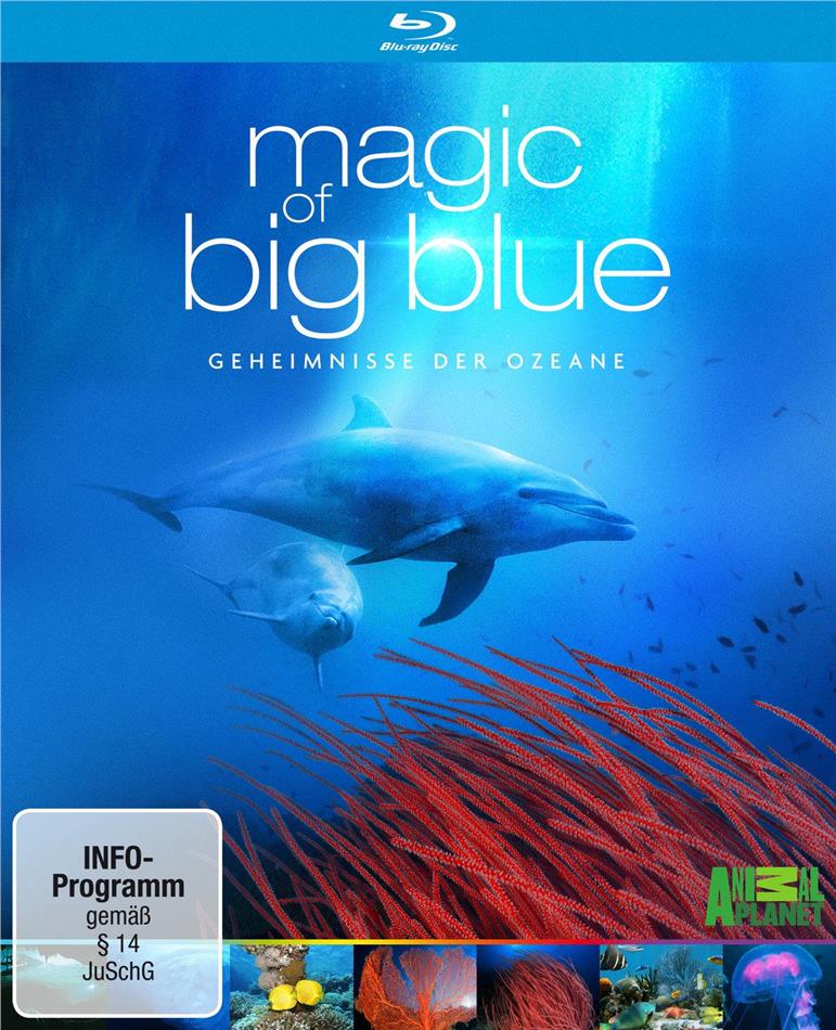Magic of Big Blue - Die komplette Serie 3 Blu-ray