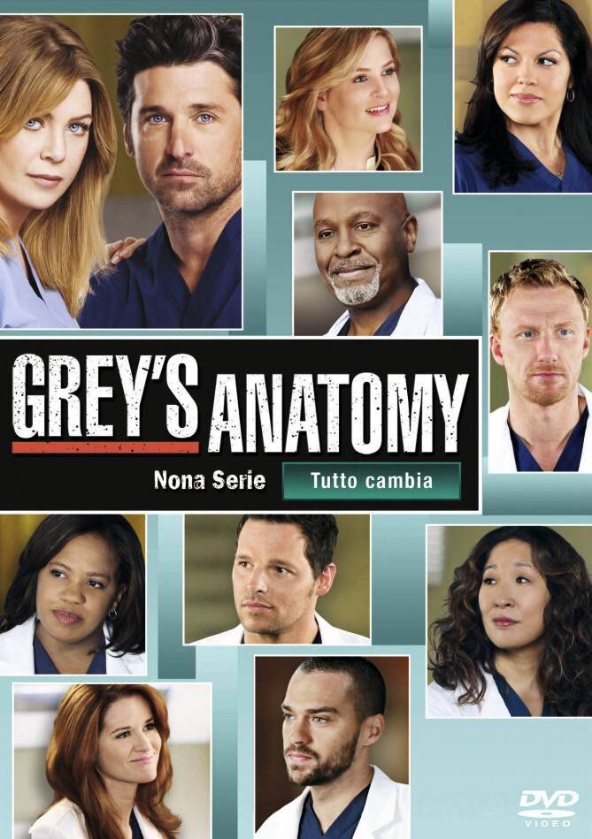 Grey's Anatomy - Stagione 9 6 DVD