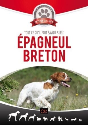 Tout ce qu'il faut savoir sur l'epagneul breton Collection passion du chien