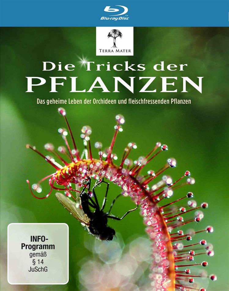 Die Tricks der Pflanzen Digibook
