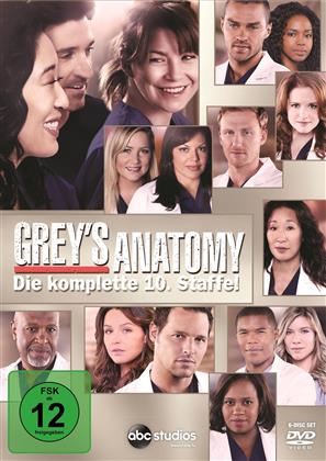 Grey's Anatomy - Staffel 10 (6 DVDs)