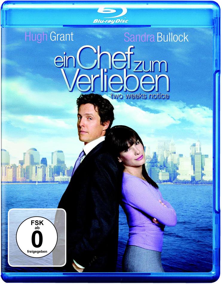 Ein Chef zum Verlieben (2002)