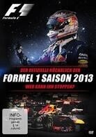 F1 - Formula 1 - Der offizielle Rückblick der Formel 1 Saison 2013