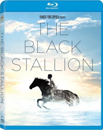 Black Stallion - Black Stallion / (Dts Sub Ws) (1979) (Widescreen)