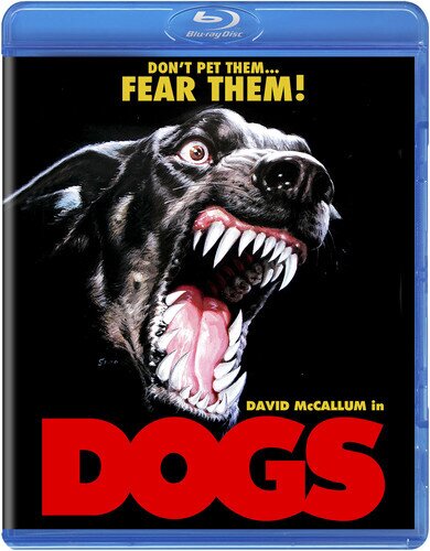 Dogs (1976)