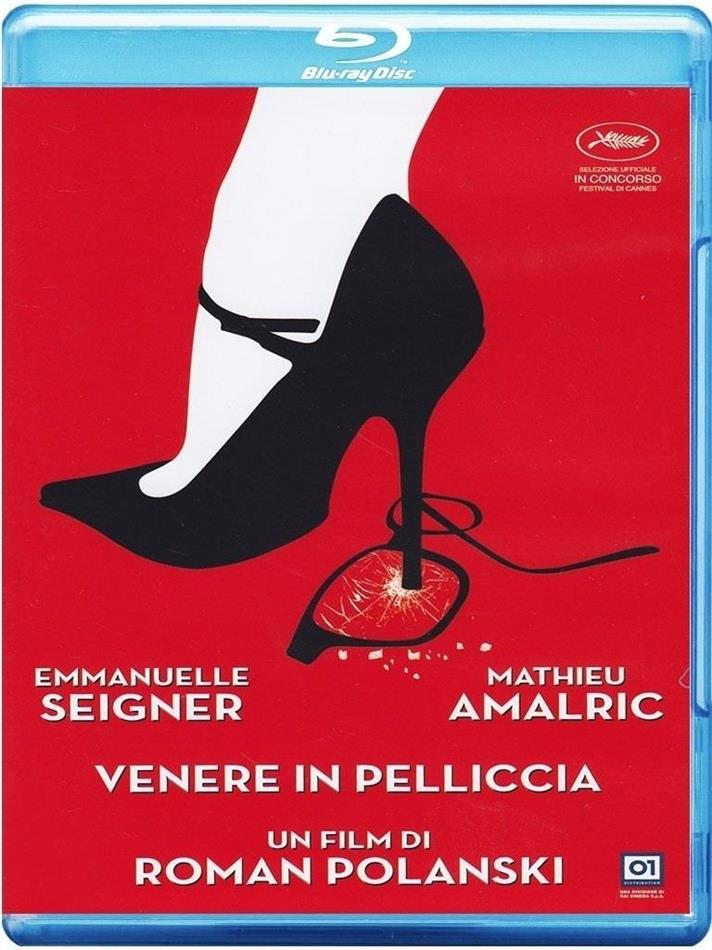 Venere in pelliccia (2013)