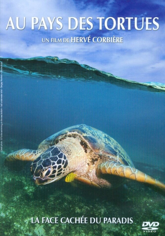 Au pays des tortues (2013)
