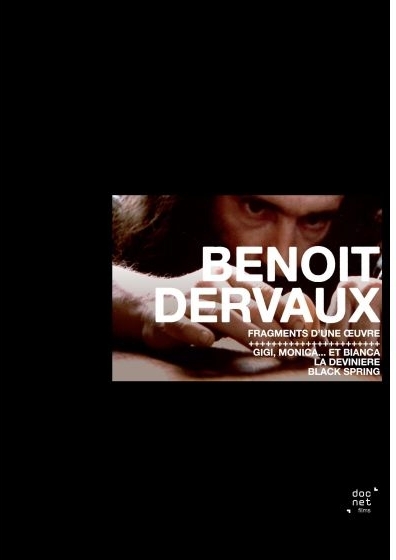 Benoît Dervaux - Fragments d'une oeuvre 3 DVD