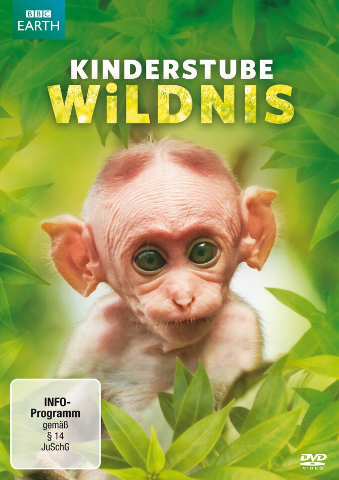 Kinderstube Wildnis 2 DVDs