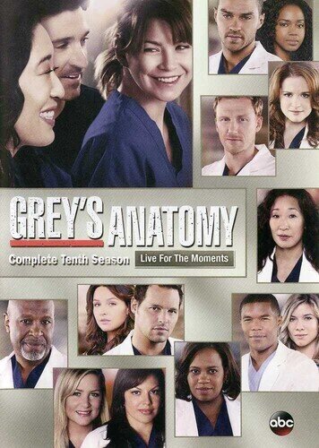Grey's Anatomy - Season 10 6 DVDs