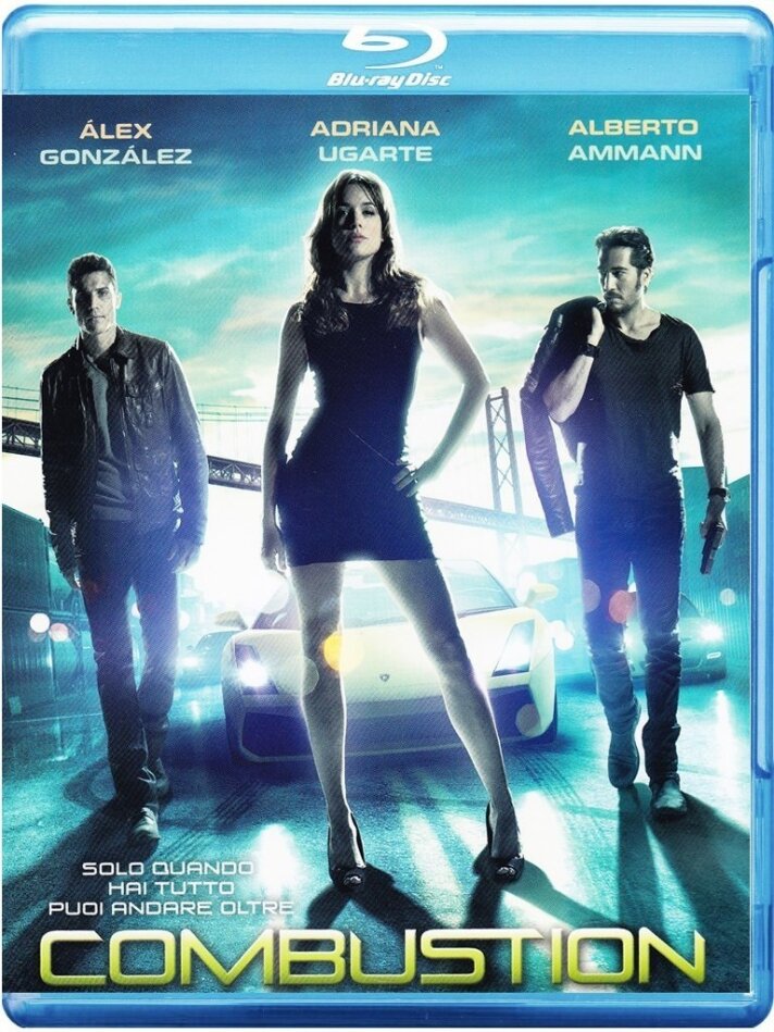 Combustion (2013)