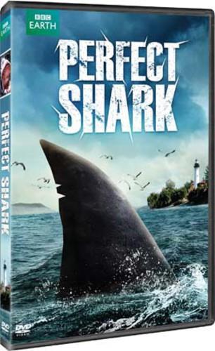 Perfect Shark - (BBC Earth)