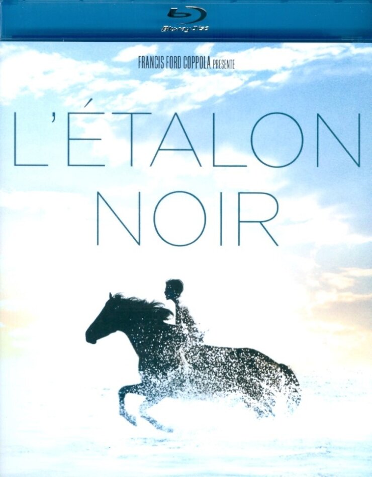 L'étalon noir - The Black Stallion (1979)