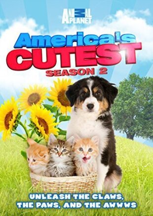 America's Cutest - Season 2 2 DVD